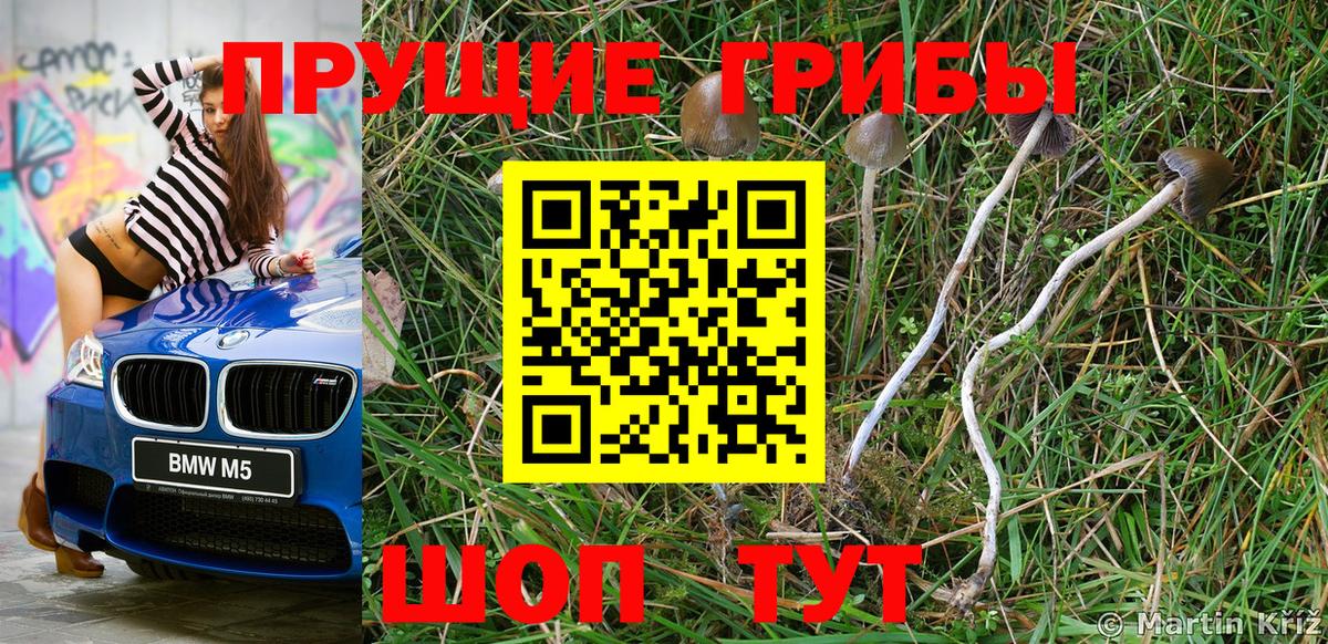 Галлюциногенные грибы Psilocybine cubensis  Вход с VPN  Обь  Галлюциногенные грибы GOLDEN TEACHER 