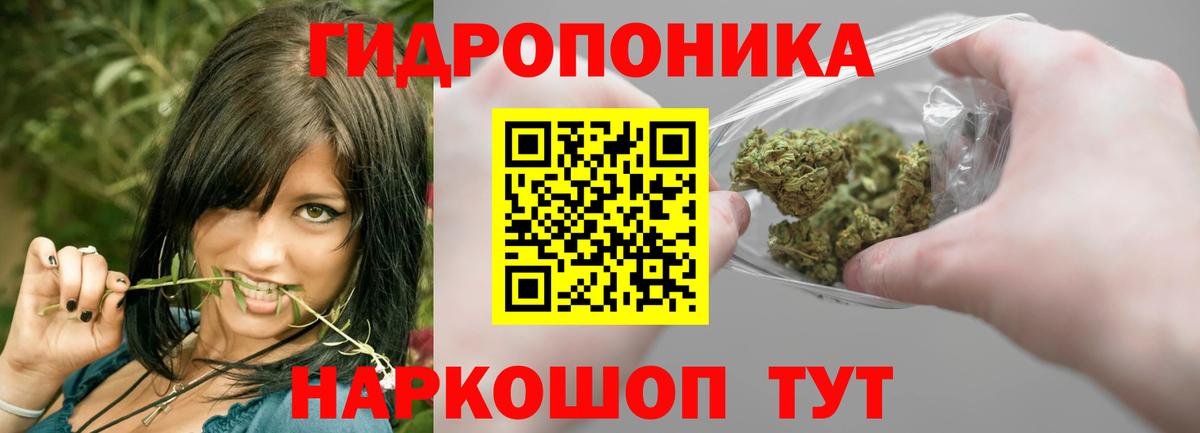 Марихуана конопля  Марихуана AK-47  Обь  Марихуана гибрид  Вход с VPN 